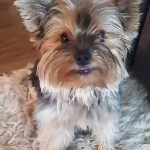 A2 Sushi&pierogi - Otwock