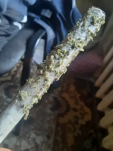 Dworcowa 3A, 73-240 Bierzwnik