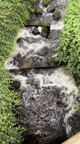 Cesky Port - Gastronomia