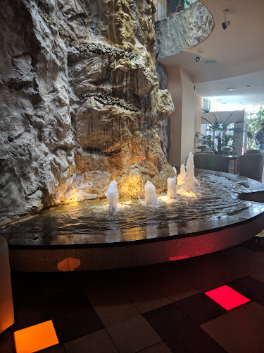 Restauracja Palmiarnia - Gastronomia