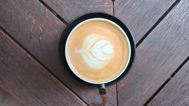 Imbir i miód - herbaciarnia/kawiarnia - Gastronomia