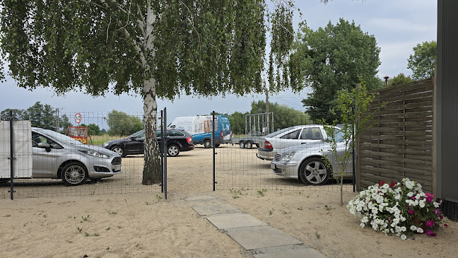 Comentarii opinii despre Mini Rybka