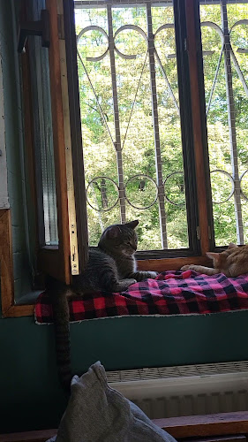 Dworcowa 52A, 44-100 Gliwice