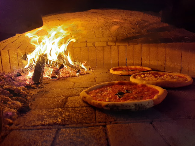 Nowowiejska 9, 56-500 Syców