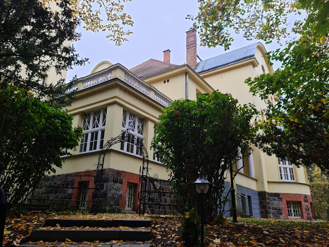 Opinii despre Janika în Świecie - Gastronomia