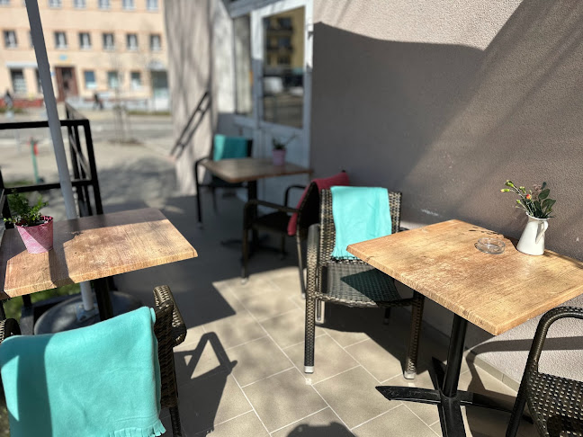 Opinii despre Bistro Kopernika Olsztyn în Olsztyn - Gastronomia