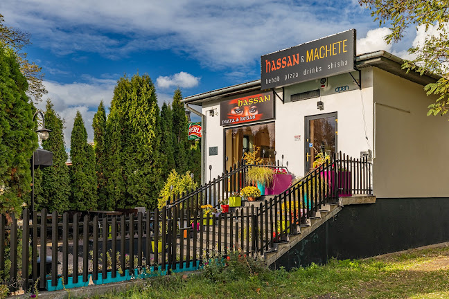 Comentarii opinii despre HASSAN Pizza & Kebab