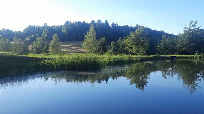 Tyrolska 11, 58-564 Sosnówka, Polska