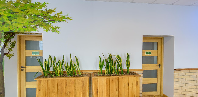 EVENT & CATERING Chmiel & Wiklina - Paproć