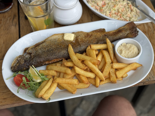 Opinii despre Restauracja Przy Młynie în Żmiąca - Gastronomia