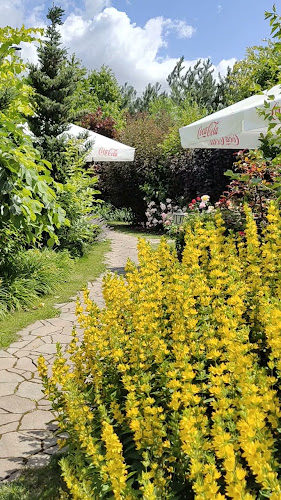 Karczma Maciejówka - restauracja k/Ojcowa - Gastronomia