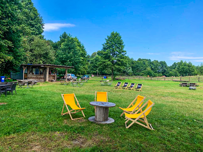 Opinii despre Grill sezonowy - Z pastwiska na talerz în Zalewo - Gastronomia