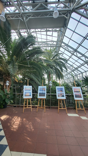 Restauracja Palmiarnia