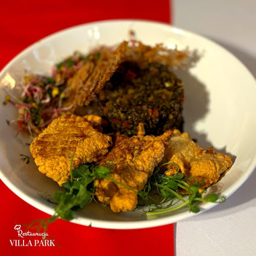 Restauracja Villa Park w Świerklańcu - Gastronomia