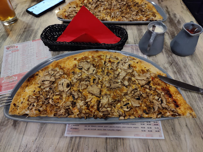 Wojska Polskiego 126, 91-743 Łódź