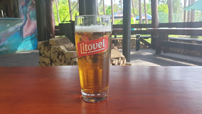 Bar U Wernera to jest teraz Leśna perełka - Boruszowice