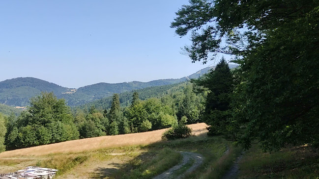 Comentarii opinii despre Chata Wuja Toma