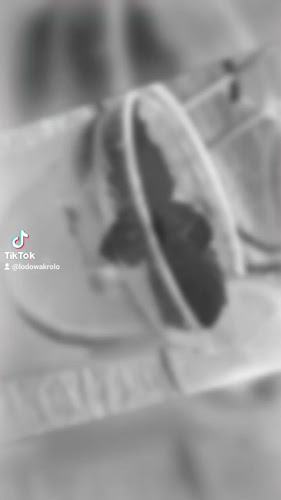 Lodziarnia Lodowa Królowa