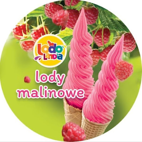 Lodolandia Mszczonów