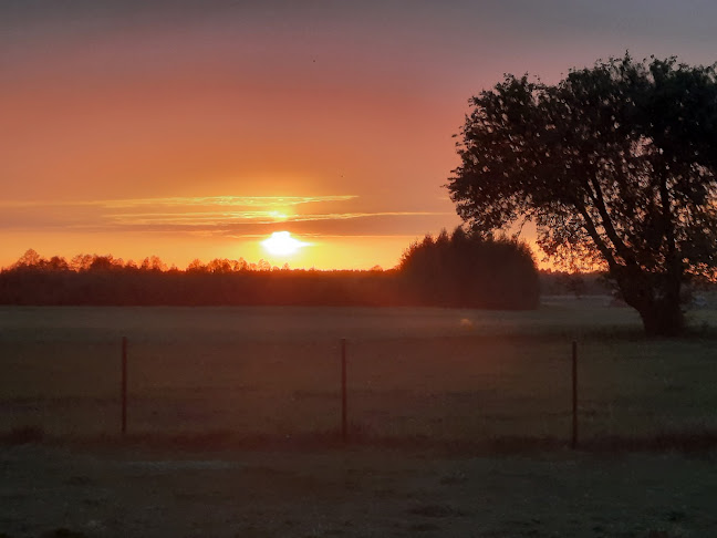 Comentarii opinii despre hydrofornia
