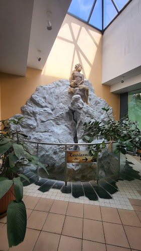 Restauracja Palmiarnia - Zielona Góra