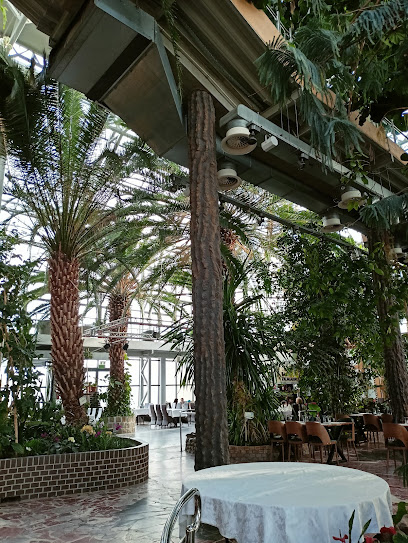 Restauracja Palmiarnia