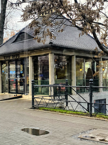 Piotra Skargi / Podwale, 50-001 Wrocław