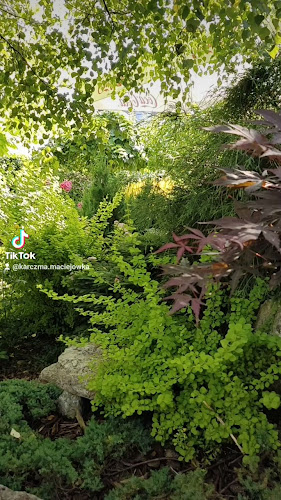 Jamki 6, 32-089 Czajowice