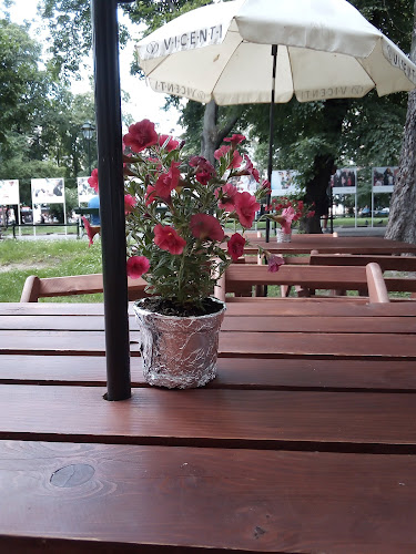 Comentarii opinii despre Pizzeria Vicenti