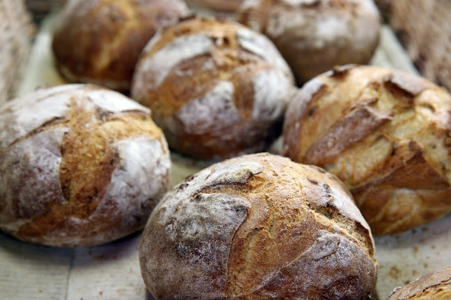 Opinii despre Piekarnia domowa Paweł Podedworny în Zambrów - Gastronomia