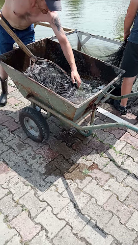 Comentarii opinii despre Smażalnia Ryb Chościszowice