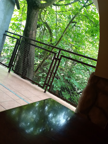 Opinii despre Faraon kebab în Staszów - Gastronomia