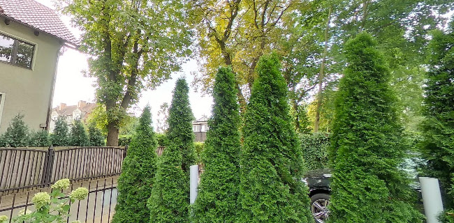 Opinii despre Restauracja Gdańsk - Jelitkowo | Restauracja Nad Potokiem în Gdańsk - Gastronomia