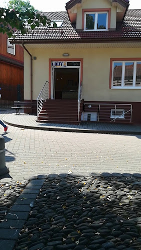 Opinii despre Lody Dudzik în Dobczyce - Gastronomia