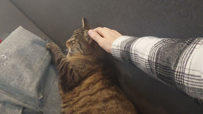 plac Bolesława Chrobrego 6, 57-300 Kłodzko