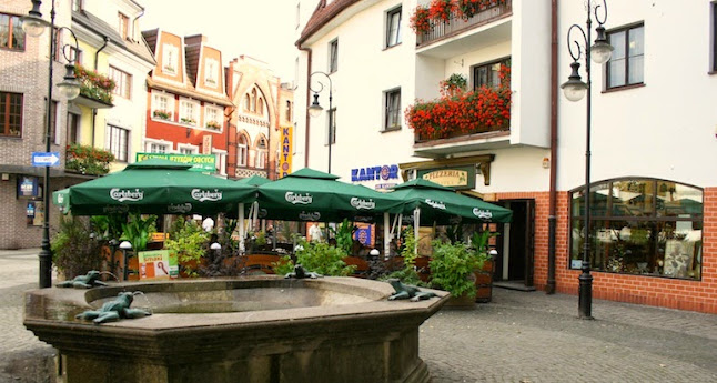 Olivka pizza e pasta - Gastronomia