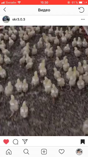 Restauracja u Mikołajca