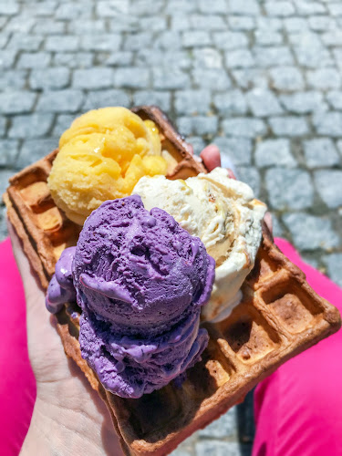 Lodziarnia Nova Elbląg - Elbląg