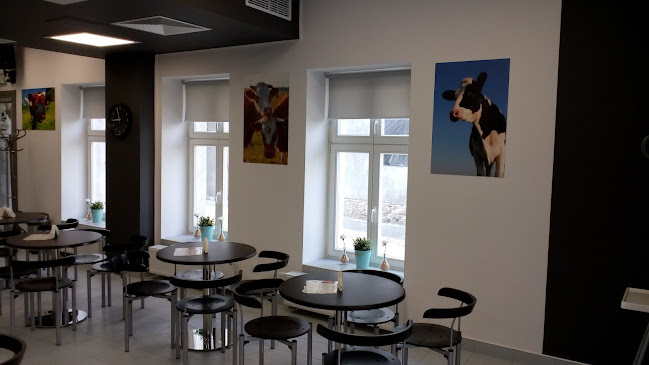 Stanisława Szeptyckiego 14, 44-240 Żory