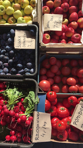 Opinii despre PUDEŁKO lunch&cafe în Gdynia - Gastronomia