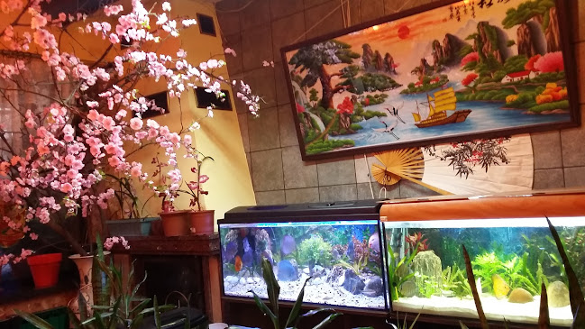 Opinii despre Bar Sao Mai - Smaki Orientalne în Mińsk Mazowiecki - Gastronomia