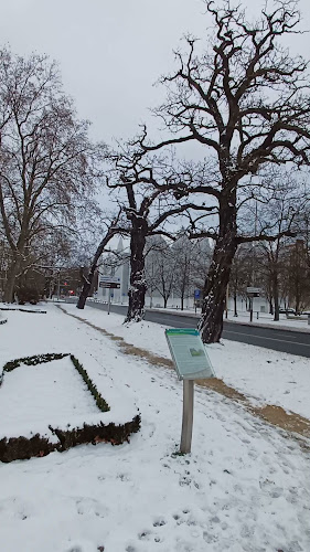 Genial Piekarnia. Sklep partnerski