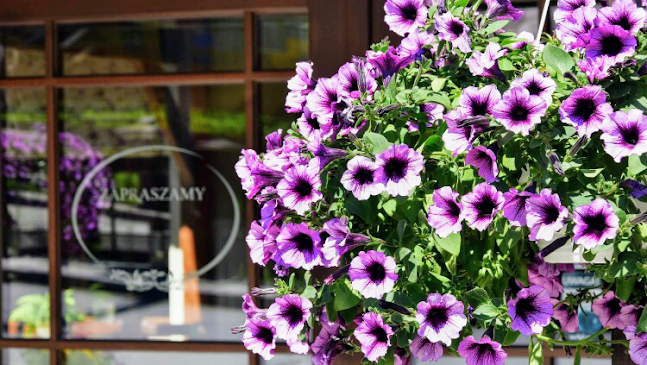 Pensjonat i Restauracja Rozanna - Wąwolnica