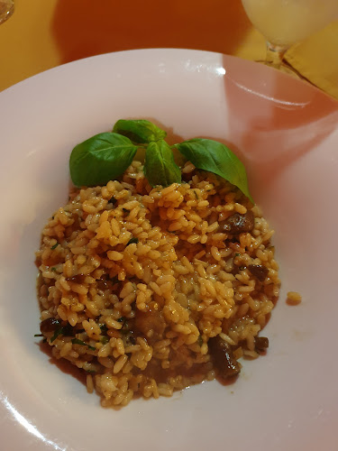 Wysoka 12, 61-850 Poznań