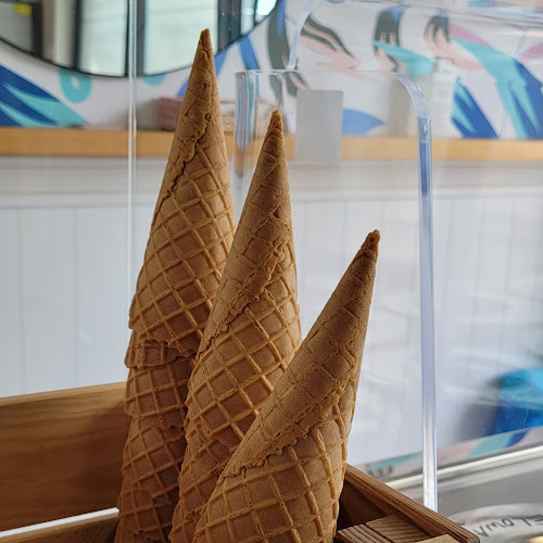 Lodziarnia Mokolodo - Gastronomia