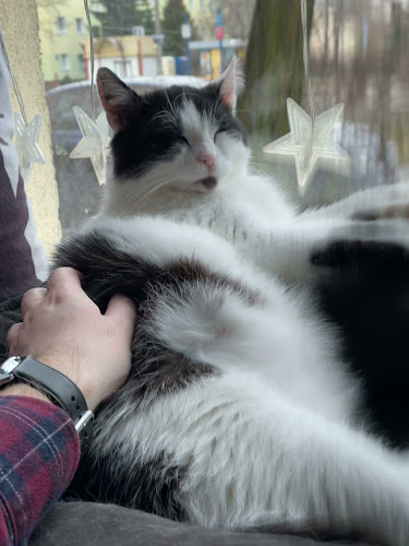 Kocia Ferajna - Bydgoszcz