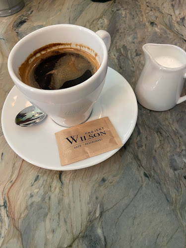 Projekt WILSON Restauracja - Poznań