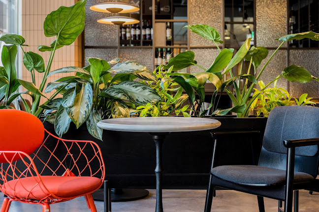 Opinii despre Współwinni Kraków în Kraków - Gastronomia