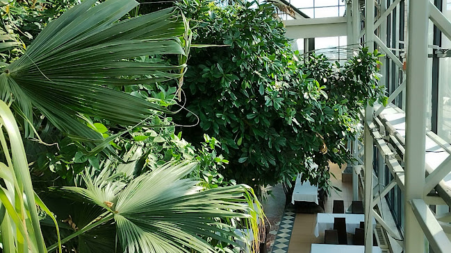 Opinii despre Restauracja Palmiarnia în Zielona Góra - Gastronomia