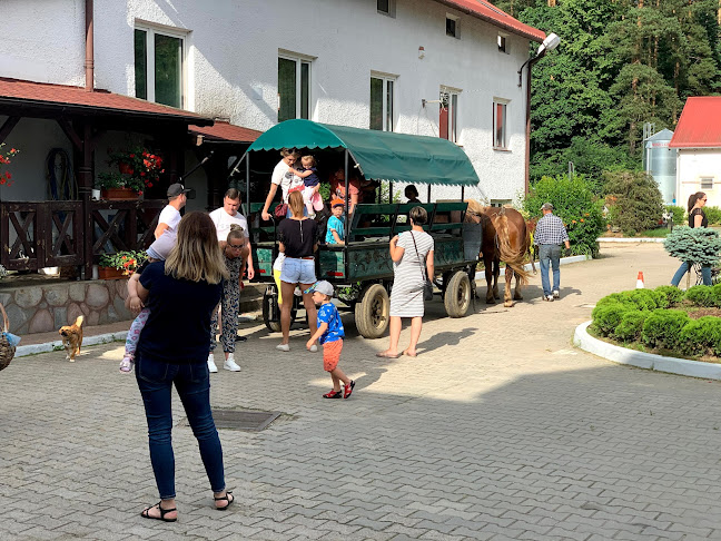 Wilimowo 10a, 11-041 Olsztyn